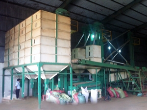 Cụm thiết bị chế biến cà phê nhân